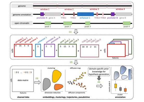 EpiScanpy - integrated single-cell epigenomic analysis