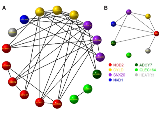 Epistasis Detection in Genome-Wide Screening for Complex Human Diseases in Structured Populations