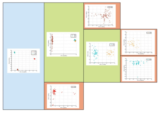 Iterative pruning PCA improves resolution of highly structured populations