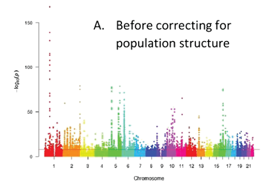 Principals about principal components in statistical genetics